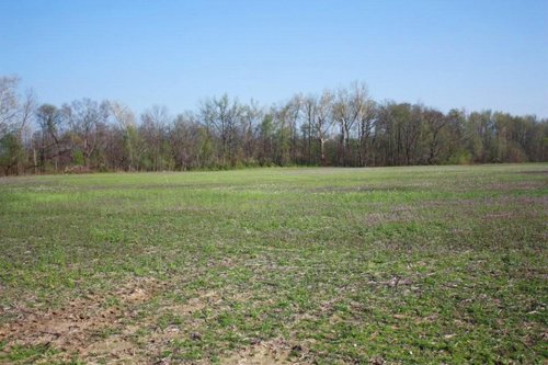 Property photo 11 - 641 Acres Offered in 16 Tracts - 545 Cropland Acres